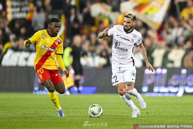 本理解的跃 本理解的跃